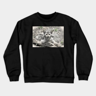 Wild cat / Maléa is looking for the goblin - children's book WolfArt Crewneck Sweatshirt